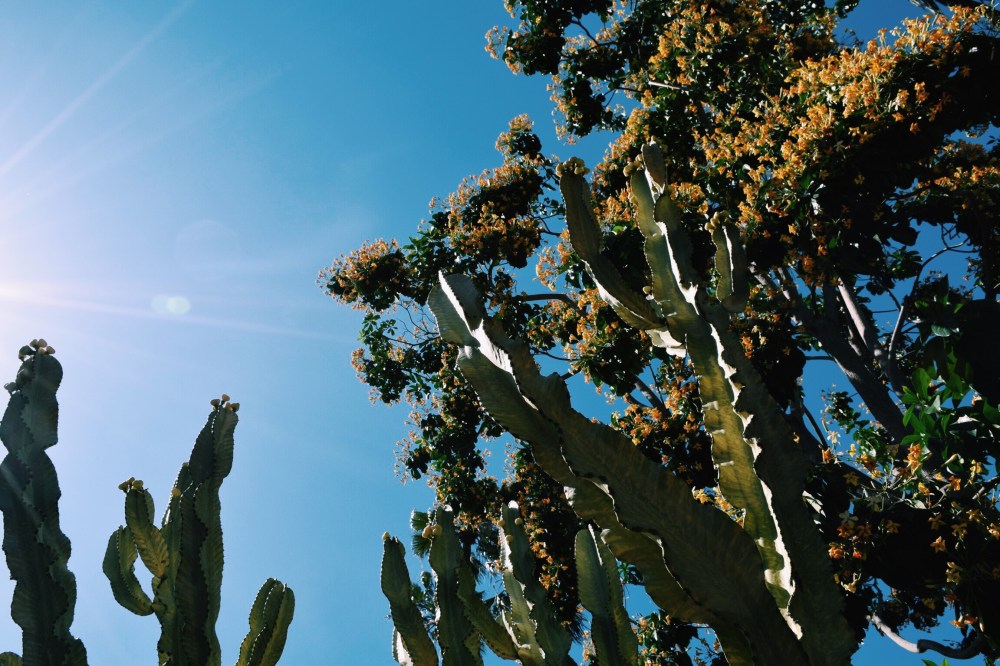 Processed with VSCO with c1 preset